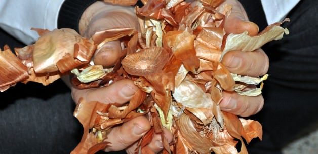 Soğan kabuklarından solmayan renkler elde edildi