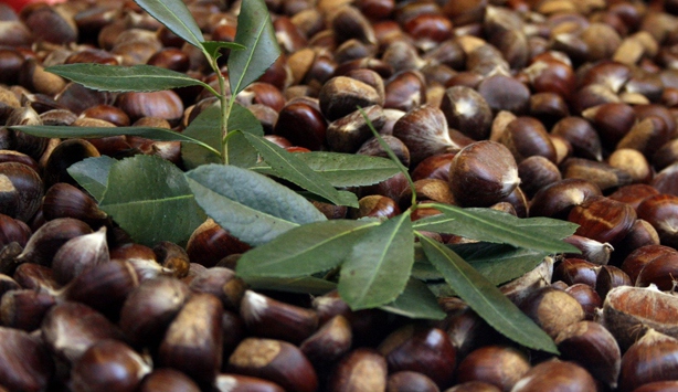 Kestanenin bilinmeyen faydaları