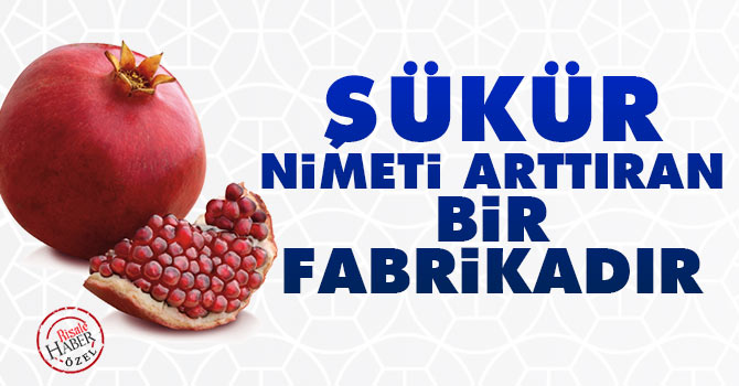 Şükür, nimeti arttıran bir fabrikadır
