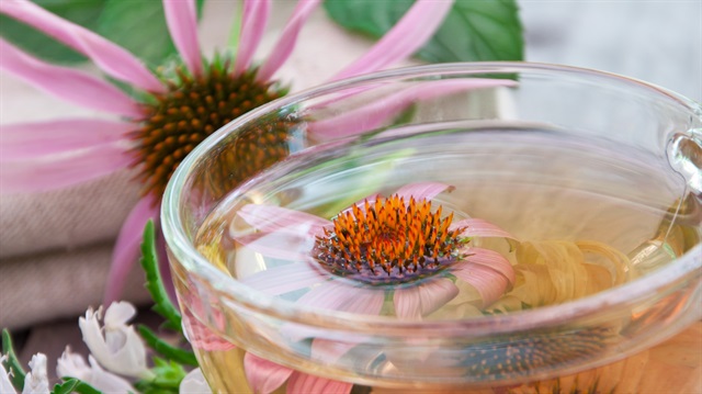 Düzenli içince şifa kaynağı