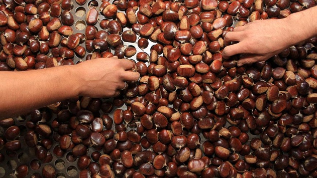 Günde 3 kestane tüketin