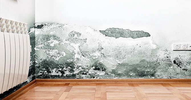 Evdeki rutubetten kurtulmanın 12 yolu