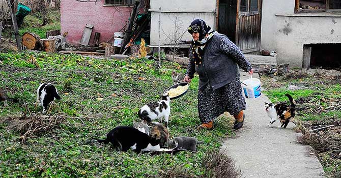 'Kediler aç kalır' diye köyden ayrılmıyor