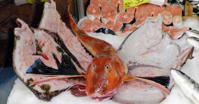 Balık fiyatları Ramazan'da düştü