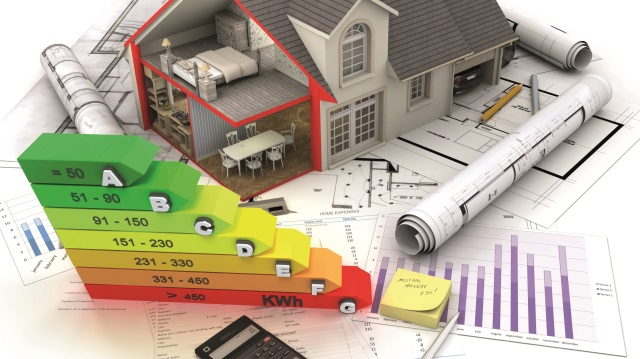 Tapuda enerjik dönem