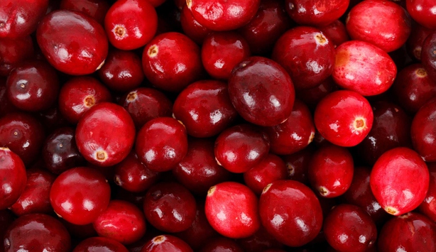 Kızılcık meyvesinin mucizevi faydaları