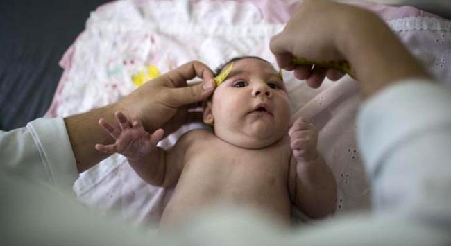 Zika virüsünde önemli buluş