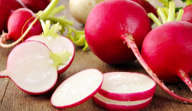 Turpun faydaları saymakla bitmiyor