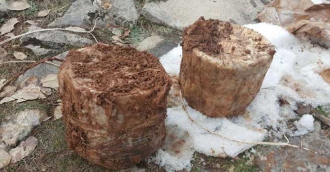 Çok sayıda mühimmat ele geçirildi