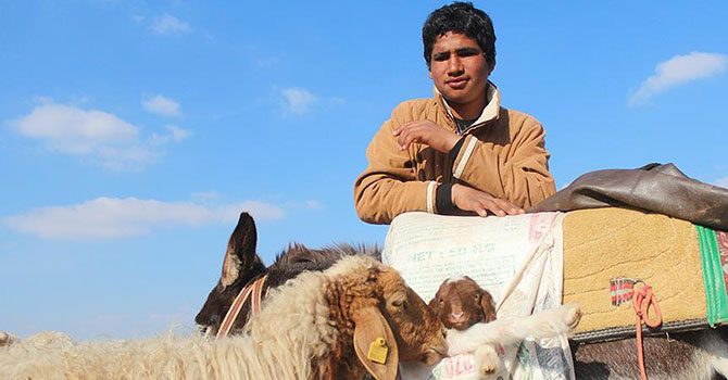 Esed'in katlettiği ailesi için Hacca gitmek isteyen çoban