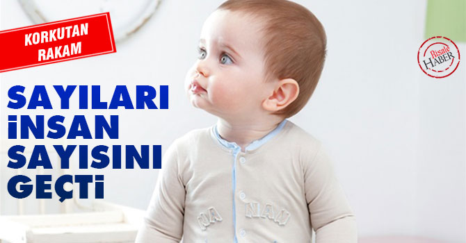 Korkutan rakam! Sayıları insan sayısını geçti