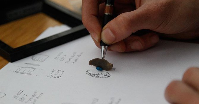 Dünya bilim insanlarının gözü Direkli Mağarası'nda