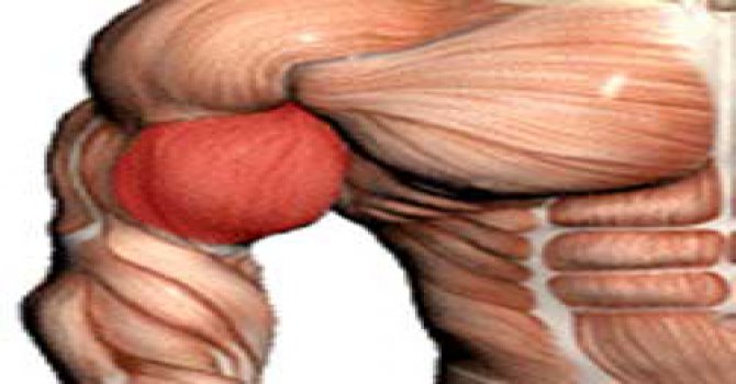 Vücut tipinizi bilmek sağlığınız için önemli