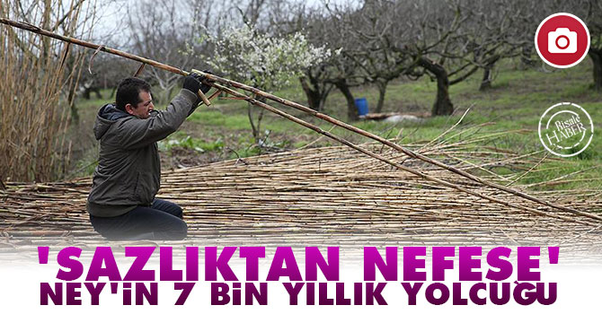 'Sazlıktan nefese' Ney'in 7 bin yıllık yolcuğu