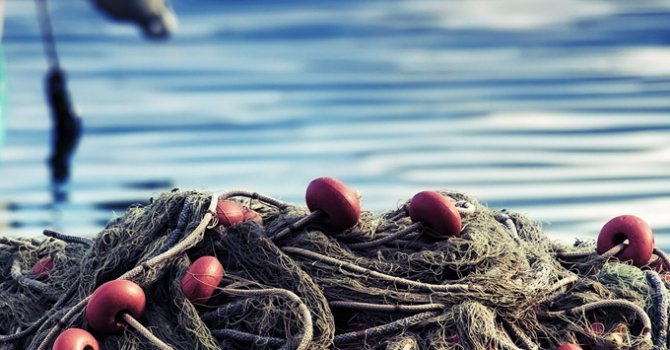 Marmara Denizinden çıkan şey şaşırttı