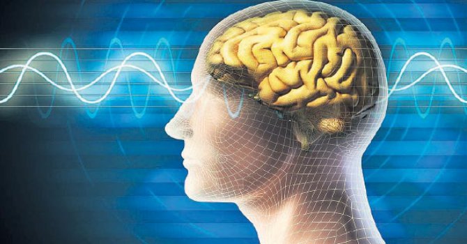 İnsan beynini sıfırlamak mümkün mü?