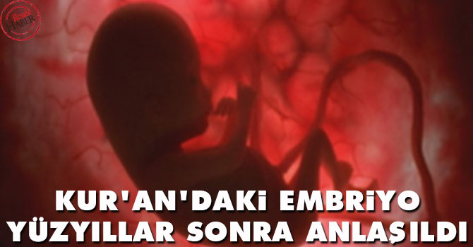 Kur'an'daki embriyo mucizesi yüzyıllar sonra anlaşıldı