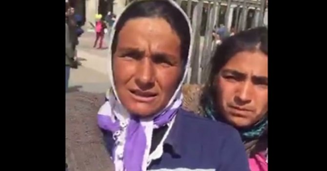 Şınav çektirilen mülteciler İstanbullu çıktı