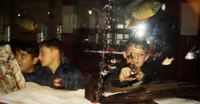 İmam camiye akvaryum yaptırdı