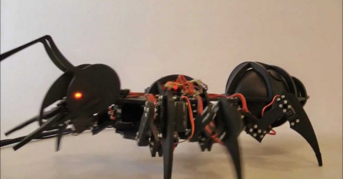 Bu karınca robot altı insan gücünde!
