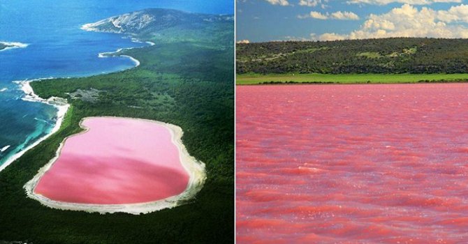 Pembe gölün sırrı çözüldü