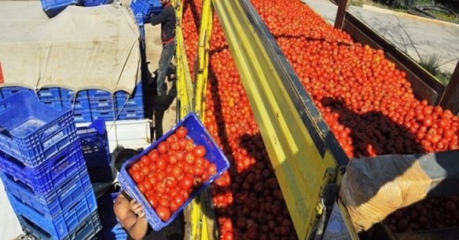 Ruslar, Türkiye'den geldiğini öğrenince imha ettiler!