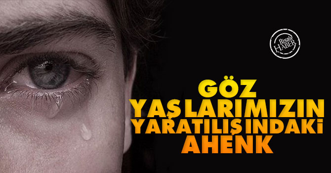 Gözyaşlarımızın yaratılışındaki ahenk