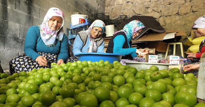 Eriğin Fİyatı Düştü!