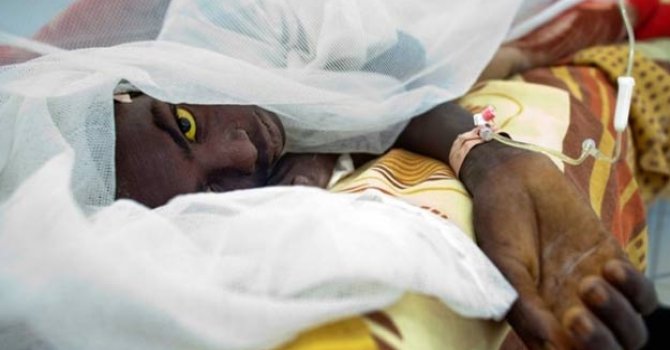 Yemen'de dang humması salgını başladı