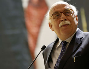 Nabi Avcı: Birden fazla minare yapılacağına...