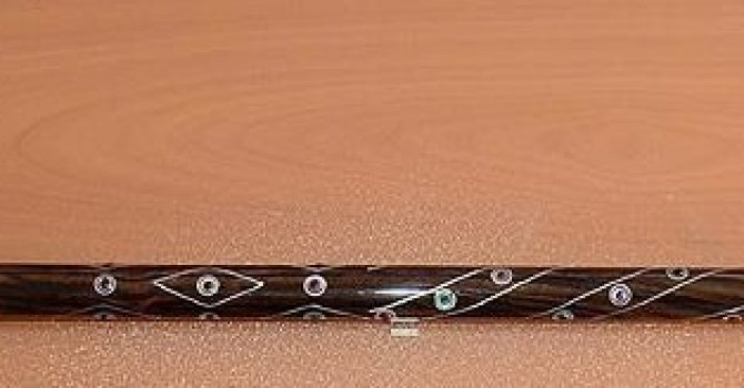 Bu bastonun fiyatına inanamayacaksınız