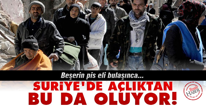 Suriye'de açlıktan bu da oluyor!
