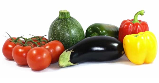 Domates, biber ve patlıcan sapından milyonluk gelir