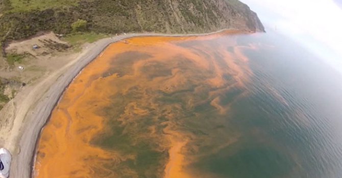 İklim değişikliği yüzyılın sonuna kadar dünya sahillerinin yarısını yok edebilir