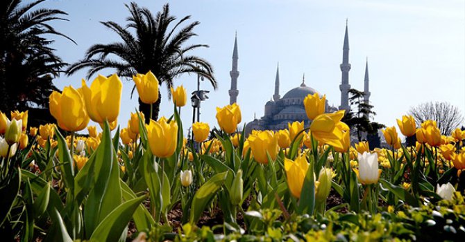 İstanbul yeniden lalelerle buluştu
