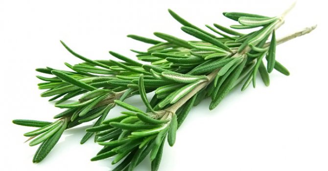 Biberiye uzun yaşam kaynağı mı?