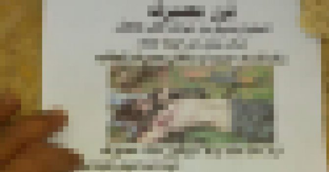 Esed öyle birşey dağıtıyor ki...