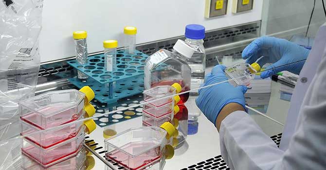 Kanser tedavisinde Akıllı dönem