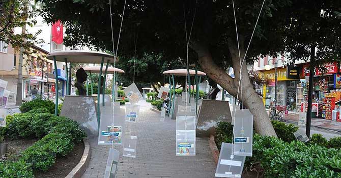 Ağaçlara asılan kitaplara yoğun ilgi