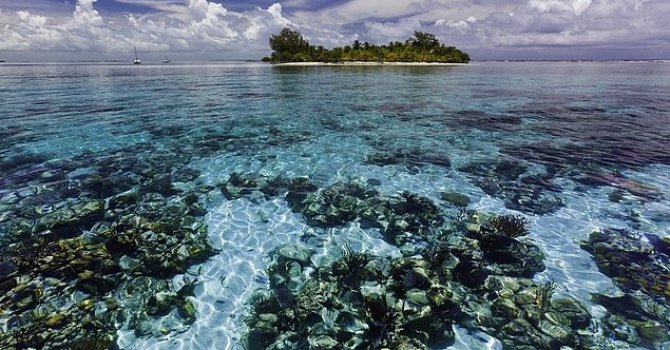 Doğal Miras Alanlarının Yarısı Tehdit Altında