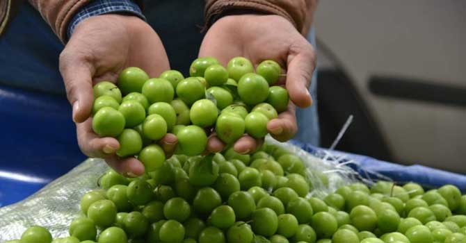 Ucuzlayınca müşterisi kalmadı