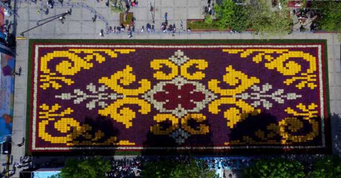 Canlı lale halısı Sultanahmet Meydanı'nda ziyarete açıldı