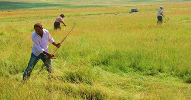 Cilt sağlığınız için 'bahar güneşi'ne dikkat