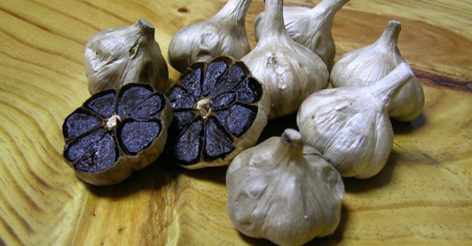 Kokusuz sarımsağın inanılmaz faydası