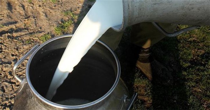 En az süt tüketen ülkelerden biri Türkiye