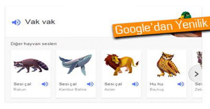 Google'ın pek bilinmeyen ilginç özelliği