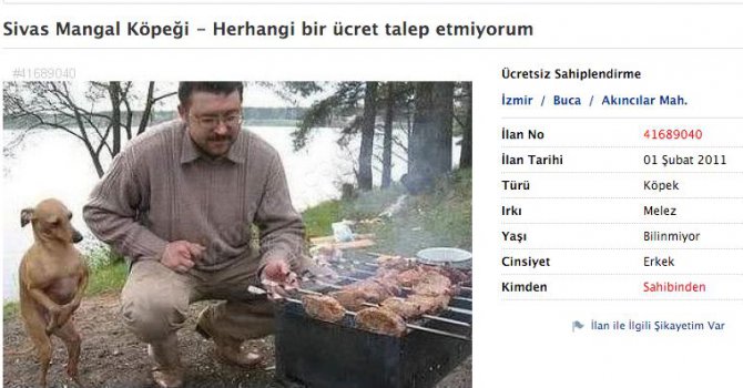 Bu ilanlar sizi çok güldürecek