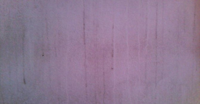 Bir kıssa, bin hisse 'Duvardaki kir'