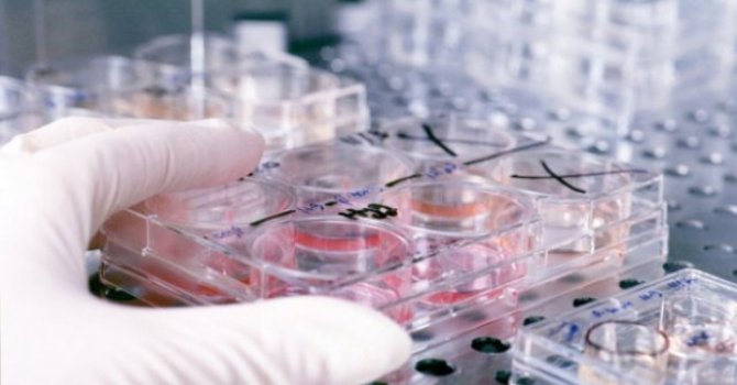 Bilim Oscar'larına 9 Türk Aday