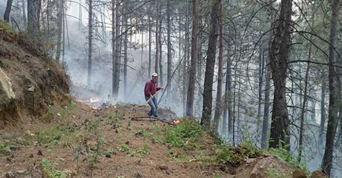 50 hektarlık ormanlık alan kül oldu